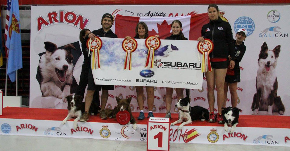 2016 AWC Subaru Agility Team Canada Large Dogs GOLD Team Jumpers